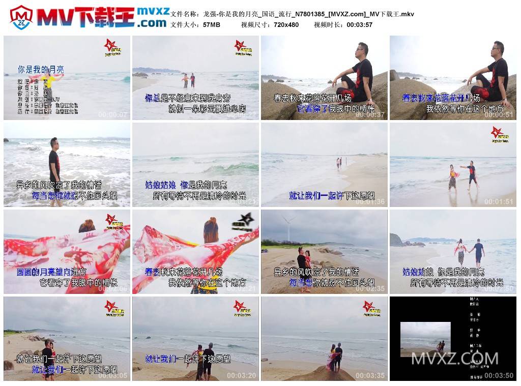 龙强-你是我的月亮_国语_流行_N7801385